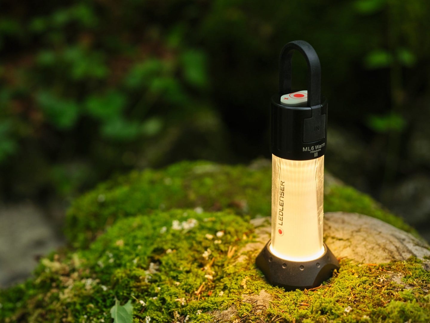 Ledlenser ML6 Warm Light Black, White Universal flashlight LED