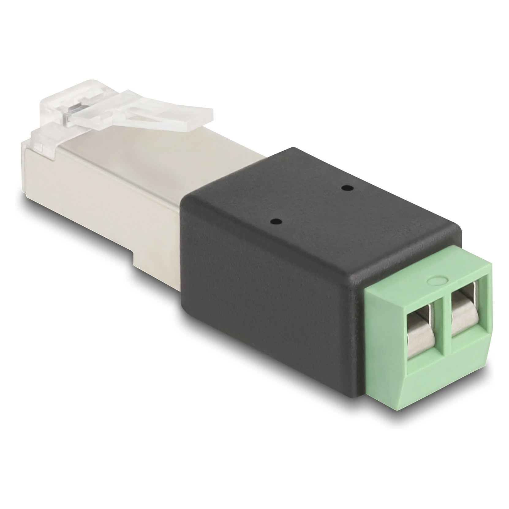 Delock Adapter RJ45 muški na 2-pinski terminalni blok | Ronis
