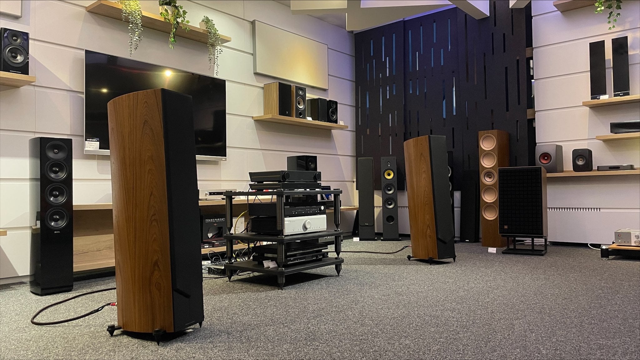 Acoustic Energy Corinium-sada u Ronisu Velesajam! 🎶